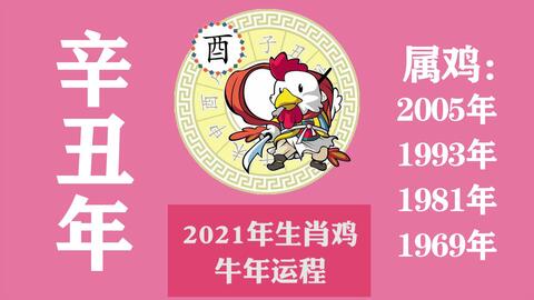 今日运势：属鸡今日麻将运势查询（属鸡的今天麻将运气怎么样）