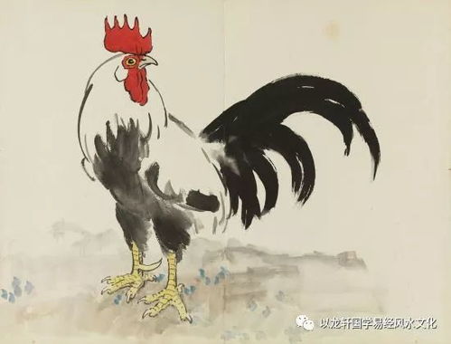 感情运势：属虎鸡的感情运势好吗（属虎和属鸡今年的感情运势）