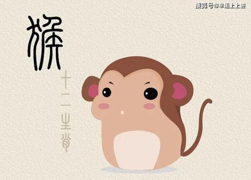 感情运势：生肖猴9月感情运势好吗（属猴九月运势及运程）