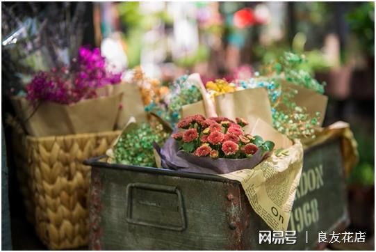 想开花店无基础怎么办