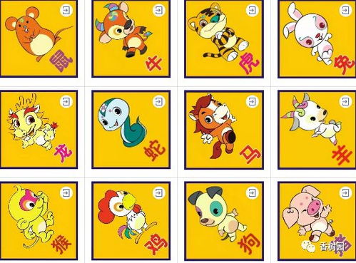 今日运势：天天属相运势查询今日（各属相今日运势）