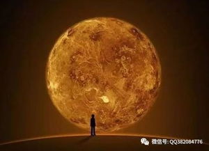 感情运势：金星环怎么看出感情运势（金星环中间断）