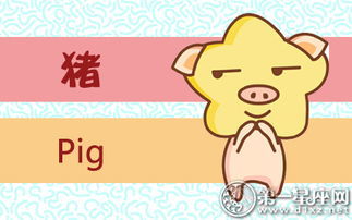 今日运势：生肖运势今日财运查询（今日生肖财运今日运程）
