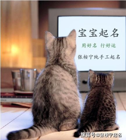 宝宝取名：姓胡的牛宝宝怎么取名（胡姓牛宝宝取什么名字）