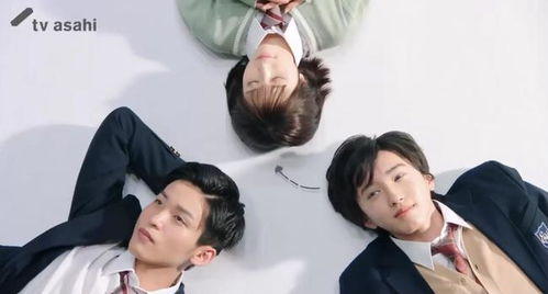 八字合婚：道枝骏佑目黑莲八字合婚（道枝骏佑目黑莲出演消失的初恋图片）
