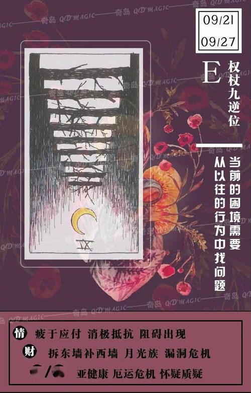 今日运势：白灵塔罗今日运势（塔罗占卜今天运势）