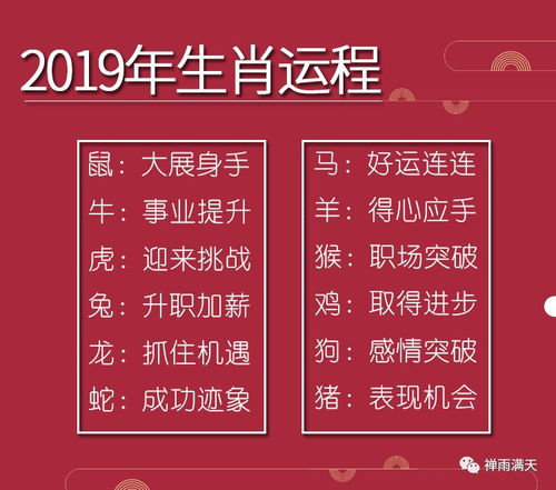 今日运势：今日生肖每月运势详解（今日各个生肖运势）