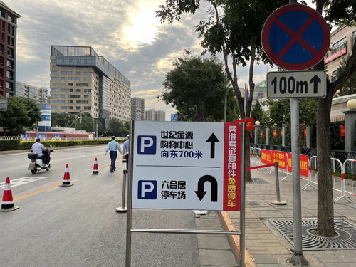 感情运势：2025年夫妻双马感情运势如何（双马夫妻能到老吗）