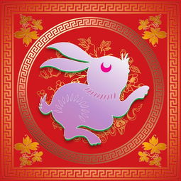 今日运势：生肖兔今日王牌运势（生肖兔人今日运势运程）