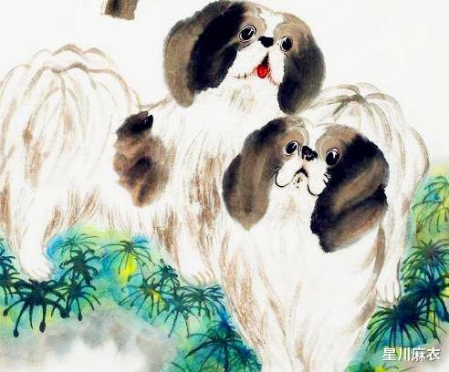 八字合婚：属侯和扈狗八字合不合婚（候和狗属相合不）
