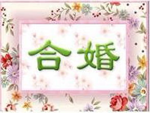 八字合婚：八字百合婚姻怎么样啊（八字合婚的误区与禁忌）