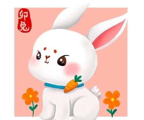 感情运势：属兔的运势感情如何呢（属兔的运势感情如何呢女生）