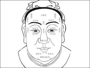 面相看人近期运势如何呢（看面相能看出一个人最近的遭遇吗）