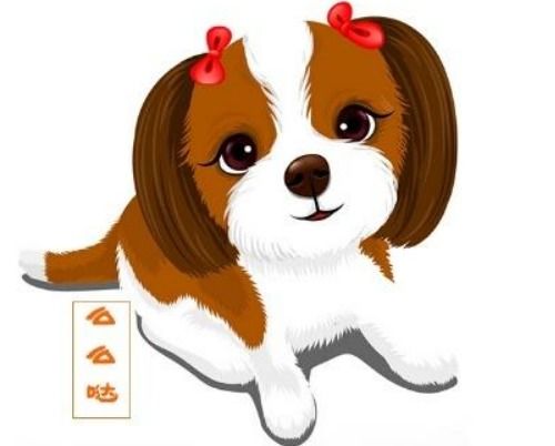 八字合婚：狗和兔八字合不合婚配呢（狗跟兔合不合婚）