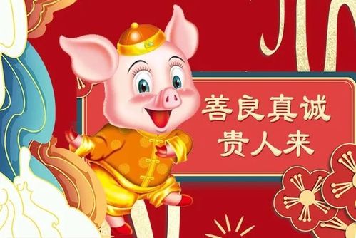 今日运势：属猪人今日运势麻将（属猪今日麻将运势查询）
