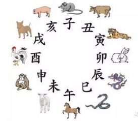 八字合婚：生辰八字兔与虎合不合婚（属相兔跟兔八字合吗）