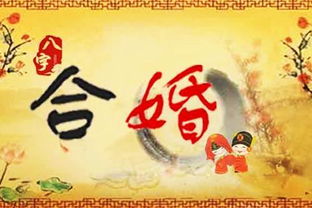 八字合婚：合婚是女的给男的八字吗（结婚合八字是迷信吗）