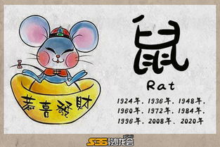 今日运势：生肖猪运势查询今日（生肖猪今日运势运程）