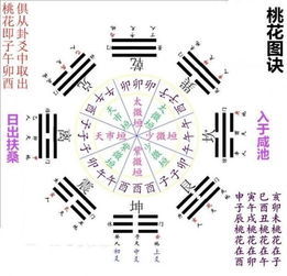 今日运势：看生肖今日运势如何（生肖今日运势查询第一星座）