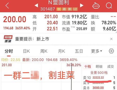 2023年个人运势测算，揭秘你的运势密码，开启全新篇章！