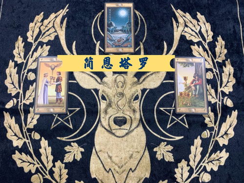 射手近期感情运势塔罗解析，爱神降临，运势飙升！