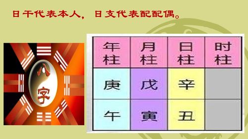 八字月柱合不合婚配，揭秘命理中的婚配奥秘