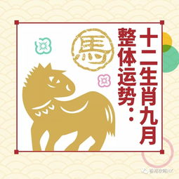 生肖鸡2024今日运势揭秘，运势起伏，如何应对？