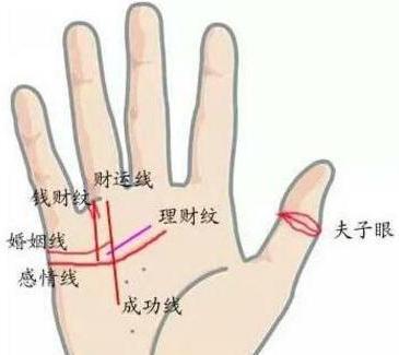 手纹图片看感情运势，真的准吗？