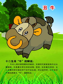 生肖牛今日运势，揭秘98年出生者的今日运势之谜！