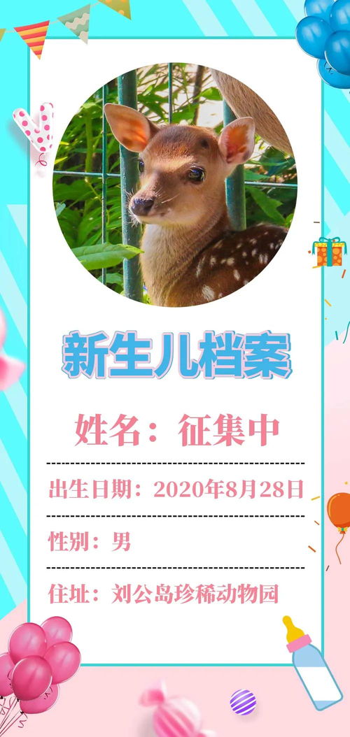 兔年宝宝如何巧妙运用日字取名？揭秘取名秘诀！