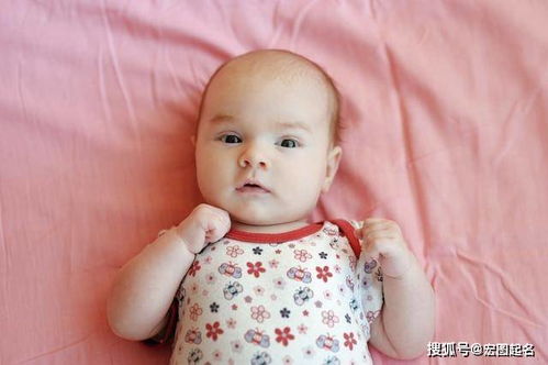 双胎蛇宝宝，小名怎么取？快来一起探讨吧！