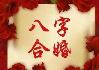八字不合，两人合婚是否可行？一场关于命运的抉择