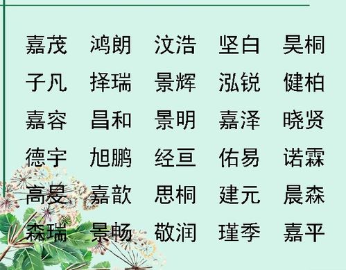 虎宝宝取名，高超真的好吗？深入探讨命名背后的文化内涵与实际考量