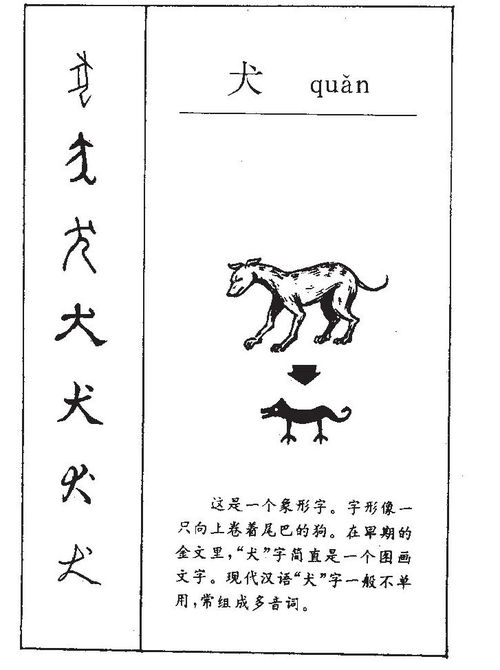 虎宝宝取名拾字如何巧妙运用，寓意吉祥？