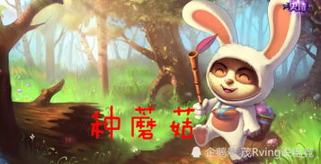 兔宝宝施姓取名，究竟该如何巧妙搭配？