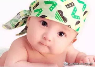 姓朱取名龙宝宝男孩，这些名字你听过吗？