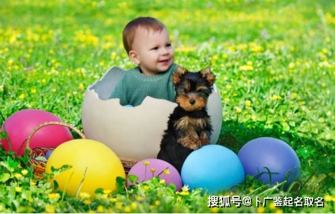 龙宝宝取名时辰男孩如何巧妙搭配，寓意吉祥？