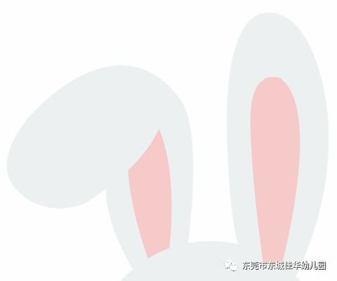 兔宝宝取名秋字，如何取一个既美好又独特的好名字？