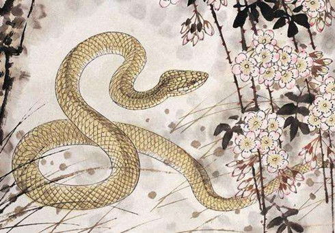 今年蛇宝宝取名，是传统吉祥还是现代潮流？