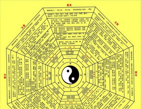 周易第十卦，揭秘感情运势之谜，你的爱情走向何方？