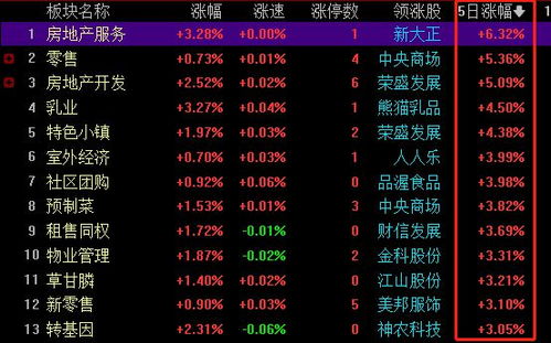 2020年5月23日出生的人究竟属于哪个星座？揭秘神秘的天赋特质！