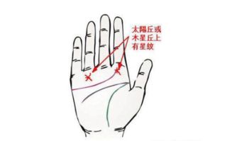 揭秘手掌纹路之谜，哪条线揭示了你的感情运势？