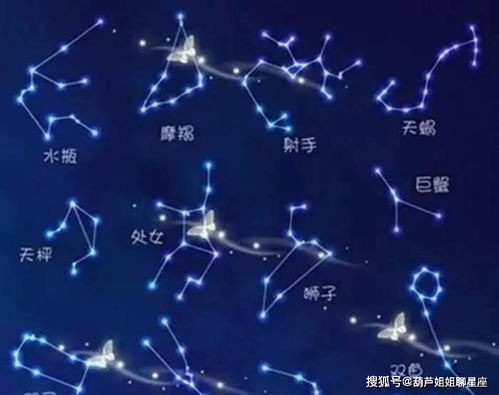 双鱼座的感情谜局，21天运势揭秘，你的爱情走向何方？