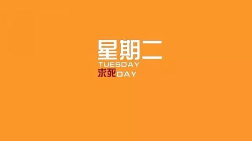12月射手今日运势揭秘，会是好运连连还是挑战重重？