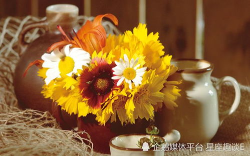 揭秘水瓶九月感情运势，是邂逅良缘还是单相思？