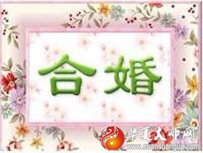 生肖蛇与兔八字合不合婚，揭秘传统婚配观的现代解读