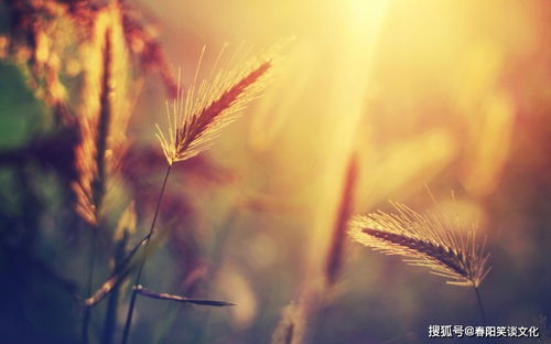 摩羯4月感情运势，是柳暗花明还是波折重重？