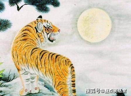 2018生肖虎感情运势，运势起伏，爱情路在何方？