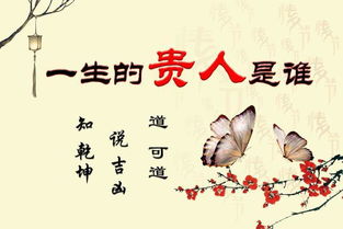 戌狗今日财运运势揭秘，是丰收还是平淡？