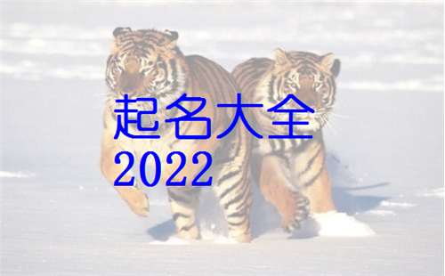 虎宝宝取名杨帆，这样的名字是否乘风破浪？